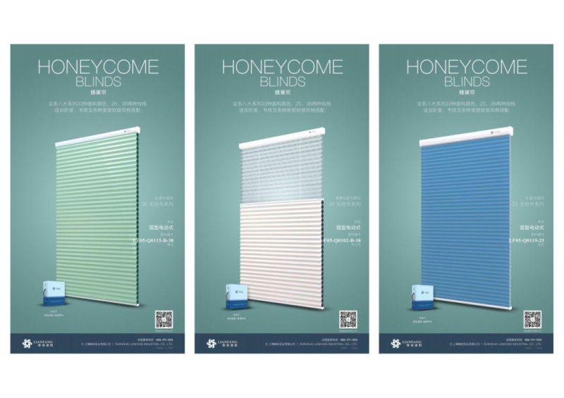 Honeycome/ Shangri-La/ Vertical Soft/ Zebra/ Roller Blinds