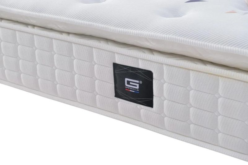 Customized Mattresses Bedding Mattress Mini Pocket Spring Latex Mattress Gsv962