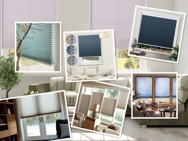 Easy Lift Select Trim-at-Home Cordless Cellular Light Filtering Fabric Shade Honeycomb Blinds