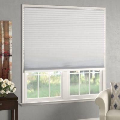 Blackout Polyester Roller Blind, Discount Window Blinds, Roller Blinds