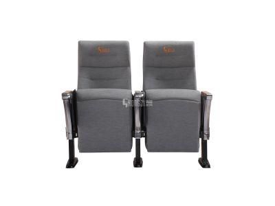 Conference Stadium Office Economic Audience Theater Auditorium Church Seat