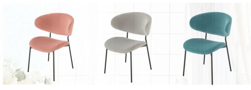 Modern Dining Chairs for Dining Room