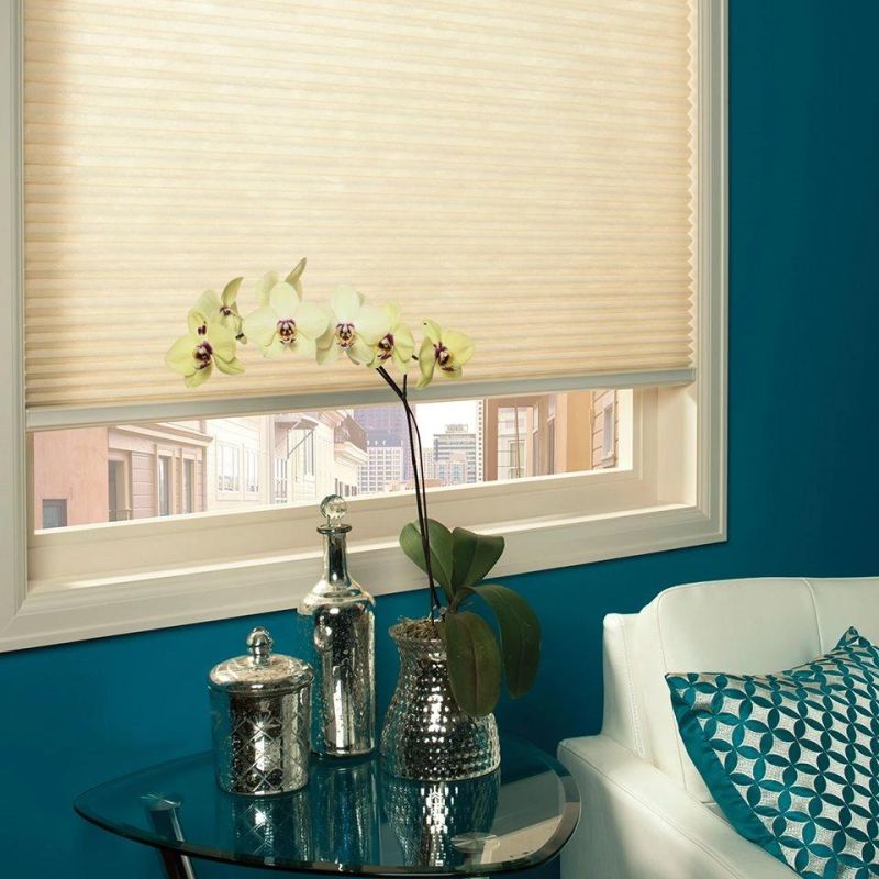 Easy Lift Trim-at-Home Cordless Pleated Light Blocking Fabric Shade Honeycomb Blinds