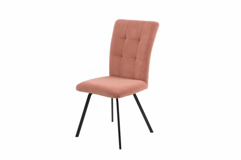 Home Furniture Simple Dining Chairs