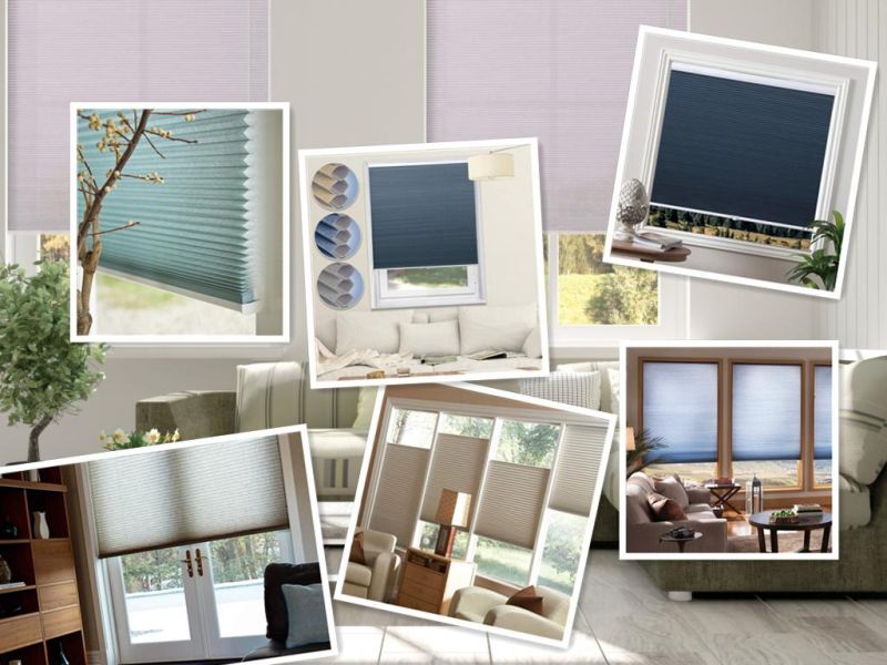 Blackout Cellular Blinds Cordless Shade Honeycomb Shades Window Fabric Blinds