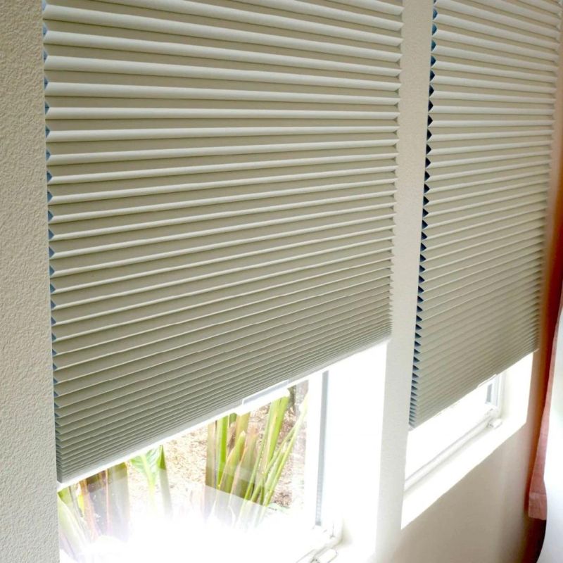 Sound Absorbing Thermal Window Honeycomb Blinds Cordless Cellular Shade Fabric Blinds for Living Room