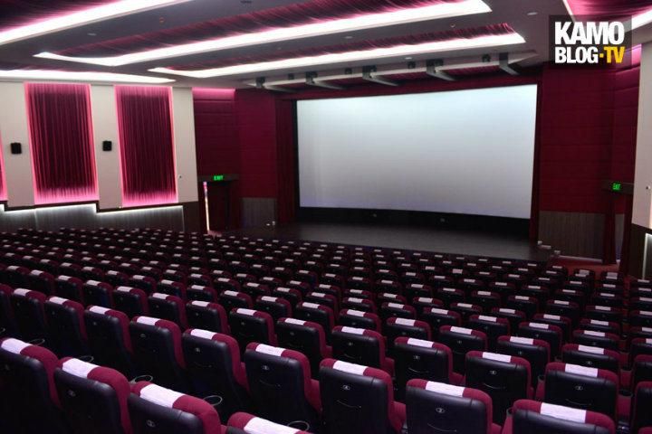 Media Room VIP Luxury Home Cinema Cinema Auditorium Movie Theater Couch