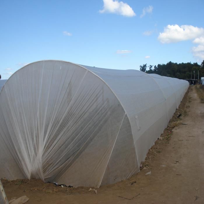 PP Spunbond Nonwoven Fabric for Agriculture Ground Cover