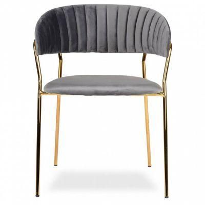 Modern Dining Chairs with Golden Legs Soft Touch Fabric Chair