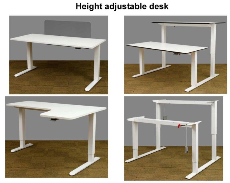 Modern Furniture Hotel Office Desinged Leisure Chair