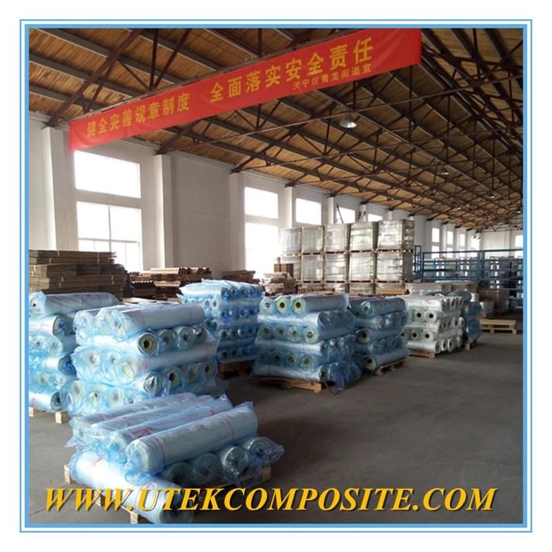 600GSM C Glass Fiberglass Woven Roving/Fabric