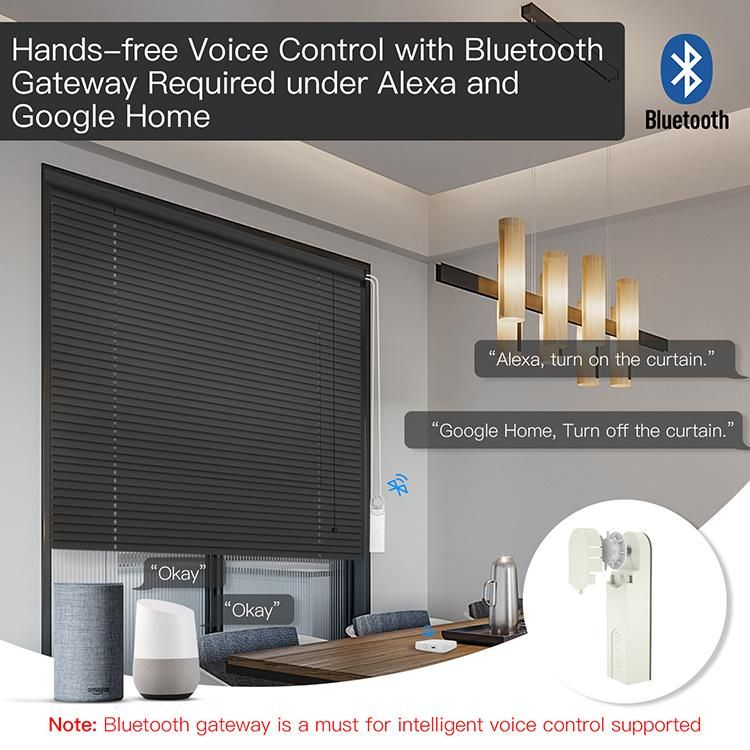 Zigbee Blinds Drive Home Automation Smart Blinds Curtain Chain Motor with APP Drive Motor Solar Powered Blinds