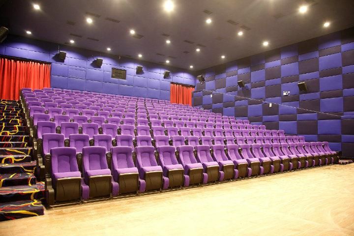 VIP Home Cinema Multiplex Media Room Theater Cinema Movie Auditorium Sofa