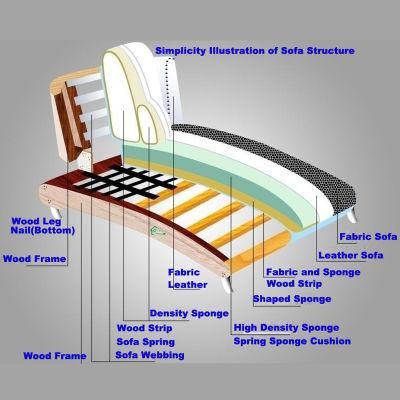 Home Furniture Factory Wholesale Wood Carved Classic Chaise Lounge in Optional Lounge Sofa Color