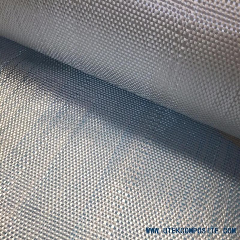 600GSM C Glass Fiberglass Woven Roving/Fabric