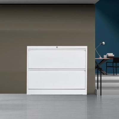 2 Drawer Lateral File Cabinet Metal Filing Storage Cabinet, White