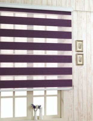 Zebra Dual Roller Blinds Fashion Blackout Zebra Blind, Sheer Elegance Window Shade