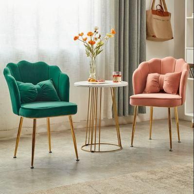 European Dining Simple Metal Chairs Design Reading Room Velvet Chair