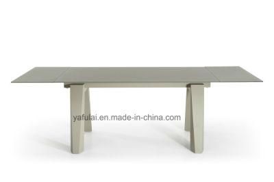 Extension Glass Frosting Powder and Oil Metal Dining Table