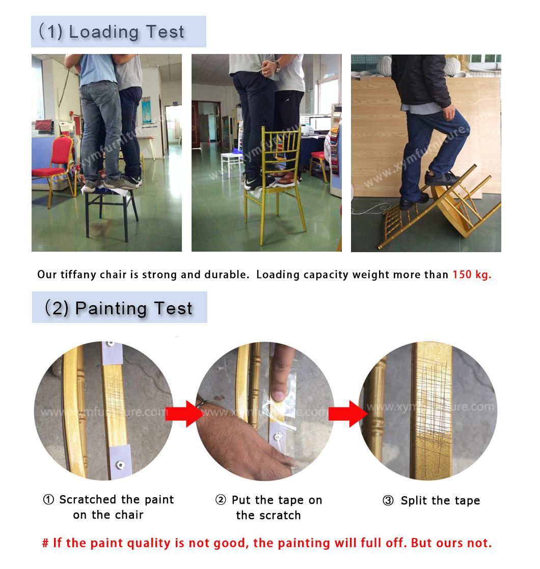 Chiavari Chair with Cushion Xym-Zj11