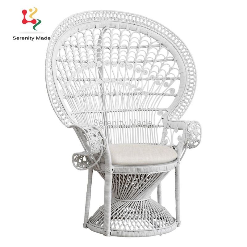 Modern Wooden Plastic Furniture Rattan Dining Chair Rattan Side Chair