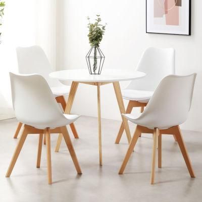 Manufacturer and Design Modern Chair for Dining