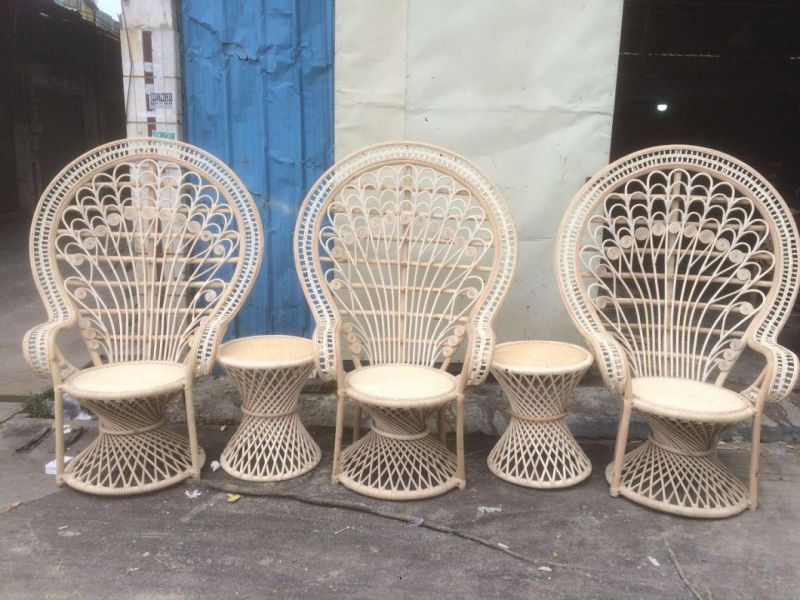 Modern Event Hire Peacock Rattan Dining Chairs Wood Chairs