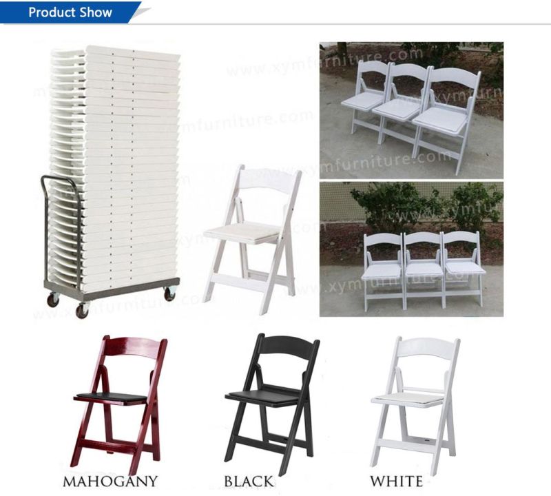 Outdoor Picnic Metal Folding Plastic Chair / Rental Chair / Event Chair