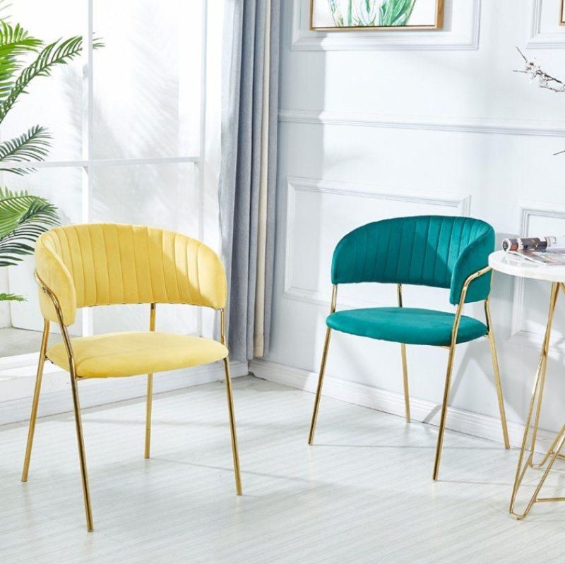 Various Colors and Comfortable Dining Chairs