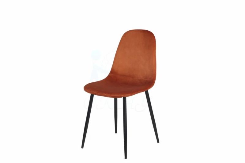 Simple Dining Chair with Different Color Power Coating Legs Chair