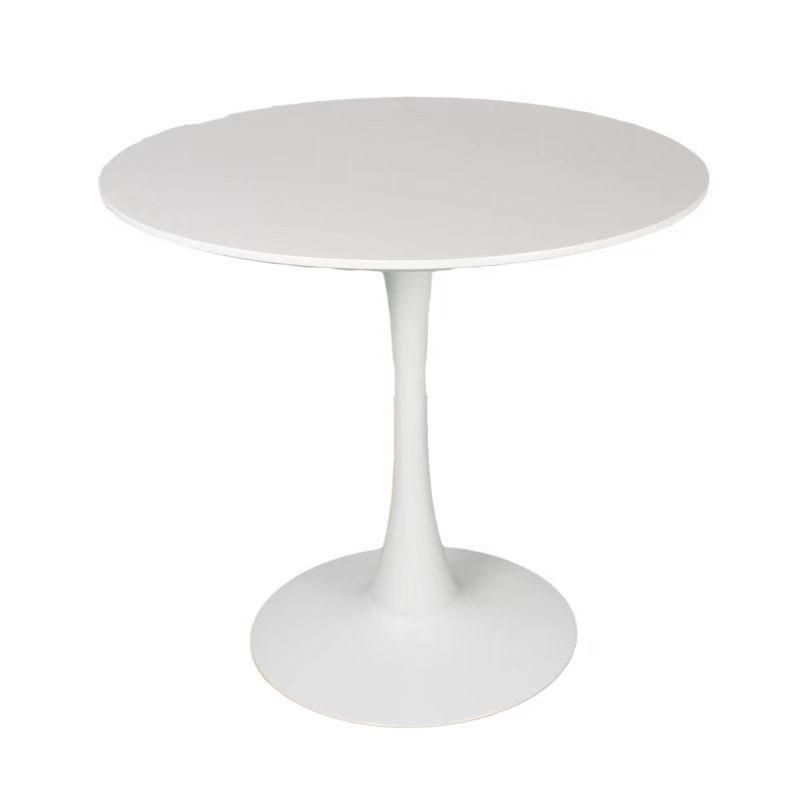 Simple Dining Table Home Small Apartment Leisure Tulip Table