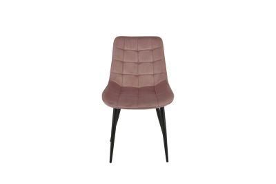 Modern Furniture Dining Chair