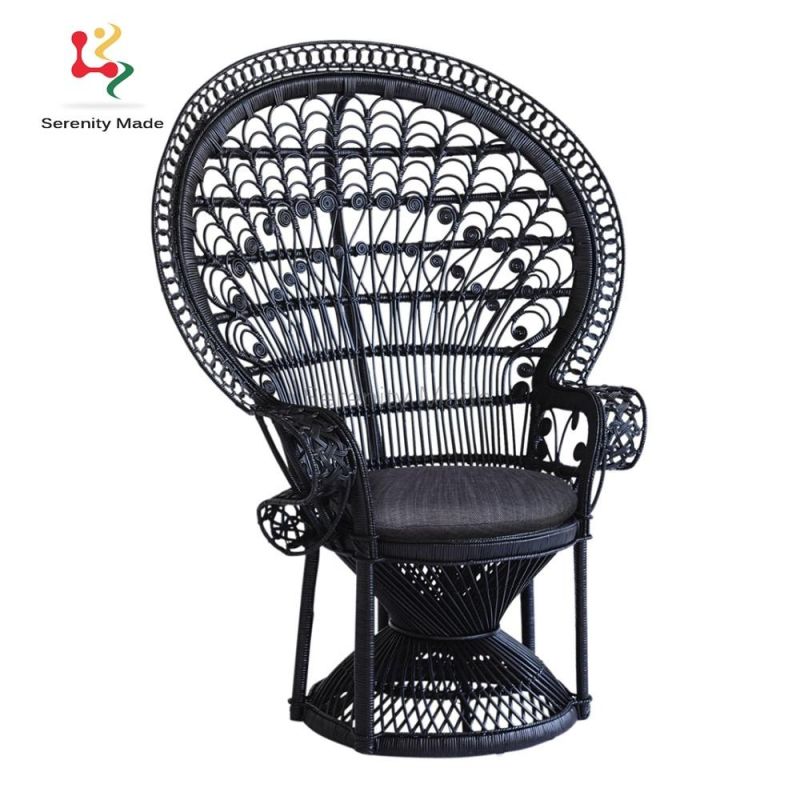 Modern Wooden Plastic Furniture Rattan Dining Chair Rattan Side Chair