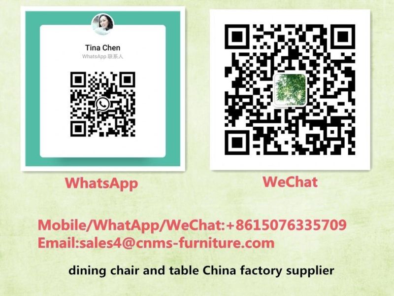 High Quality Adult Fashionable Simple Dining Chair for Sale