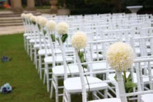 Stackable Wedding Dining Chair/Chiavari Chair/Plastic Tiffany Chair