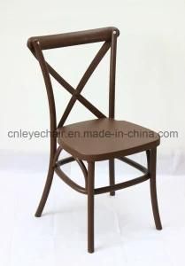 Plastic Cafe Chair