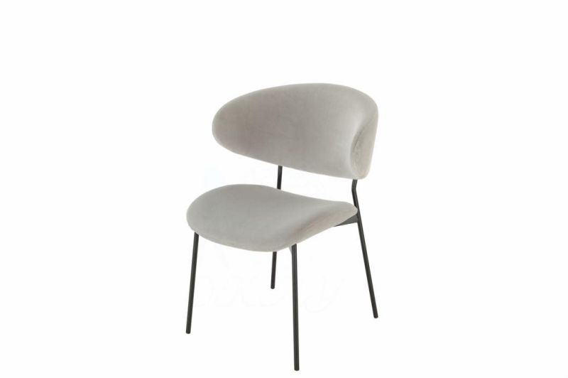 Moden Dining Chairs for Dining Room