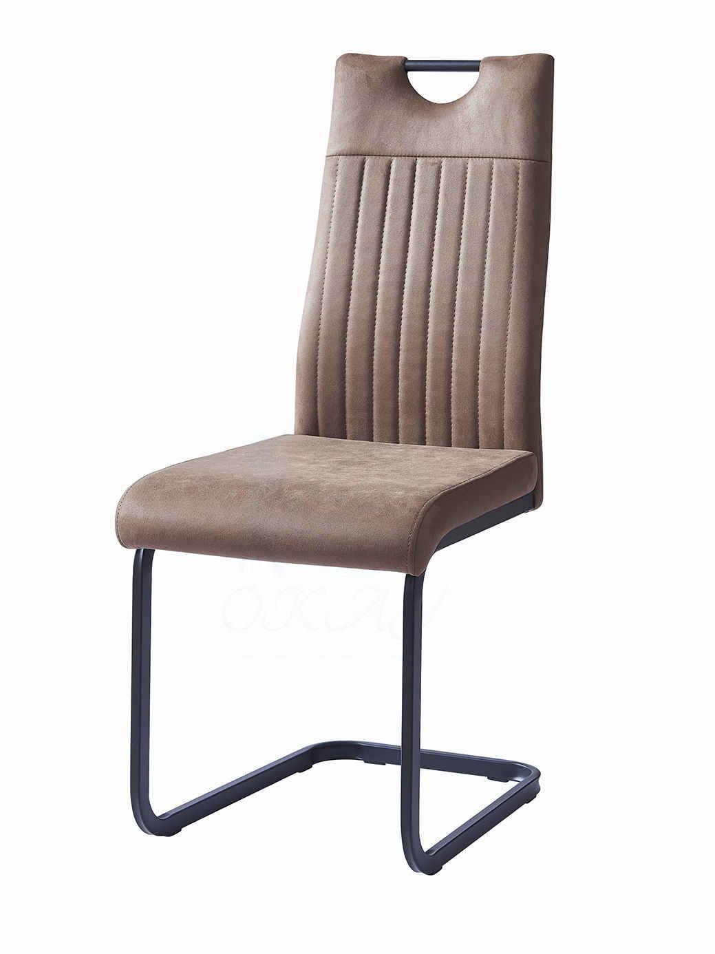 Simple Modern Home Dining Chair