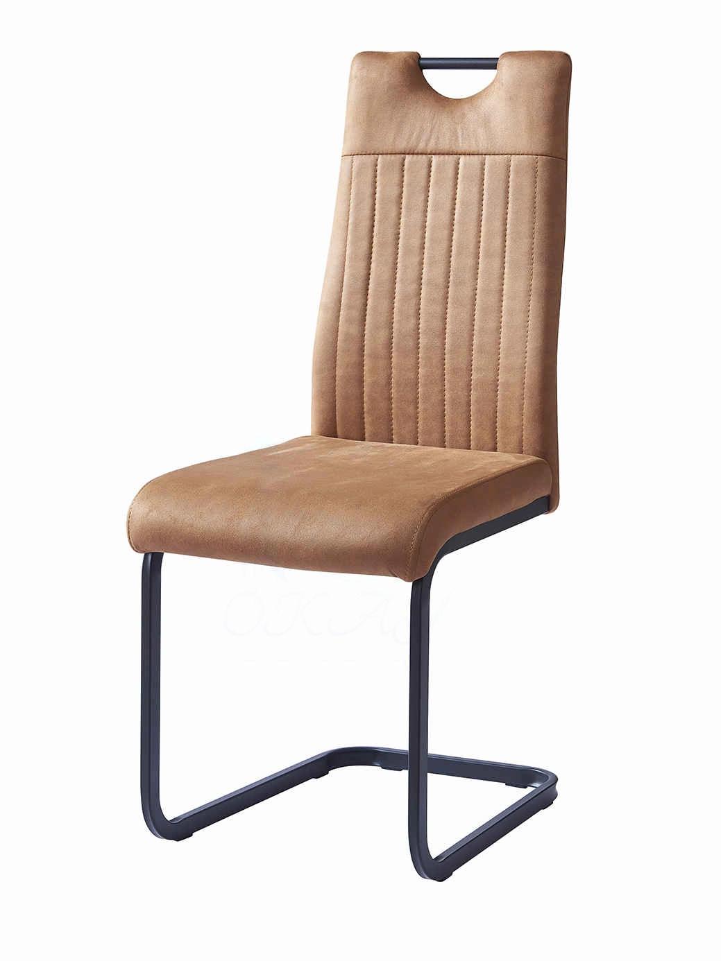 Home Furniture New Design Modern Dining Chair