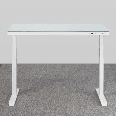 Senior Customized Reliable Ergonomic Metal Desk Only for B2b