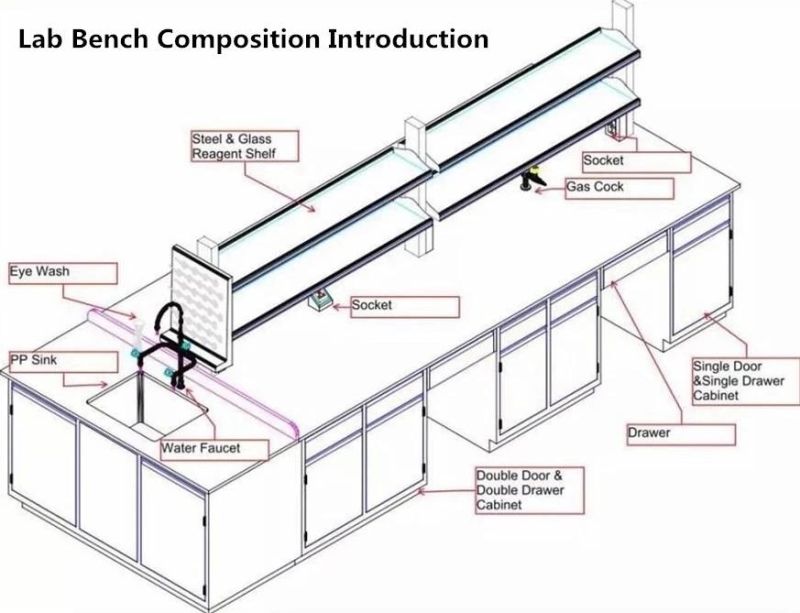 Pharmaceutical Factory Wood and Steel Lab Furniture with Sheet, Biological Wood and Steel Chemic Lab Bench/