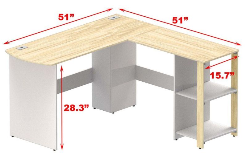 Home Office Computer Desk with Shelves