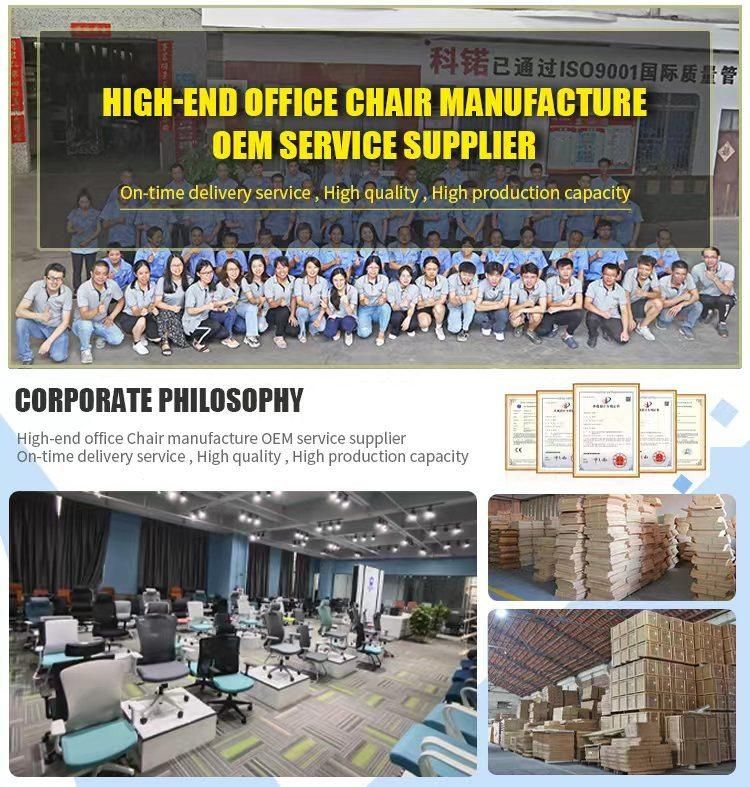 BIFMA Certificate Rotating Ergohuman Multi-Function School Office Foshan Chair