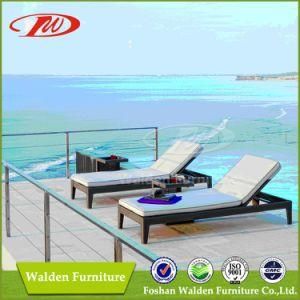 Modern Rattan Furniture (DH-9565)