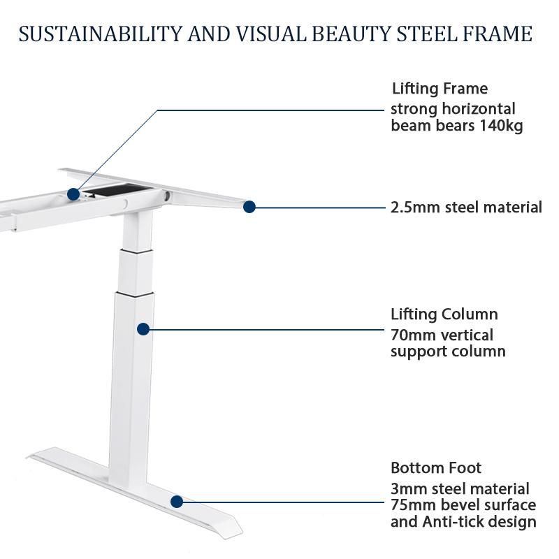 Motorized Affordable 38-45 Decibel Sit Standing up Electric Desk Durable in Use