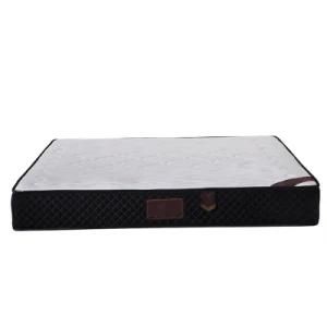 Modern Bedroom Furniture Memory Foam Sponge Mattress in Vacuum Compression