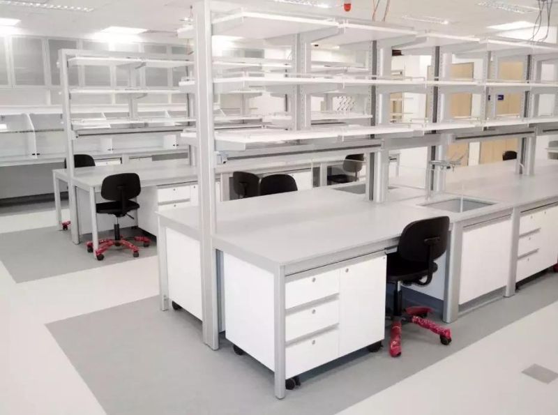 Hospital Steel Lab Furniture with Reagent Shelf, Bio Steel Lab Bench with Pads/