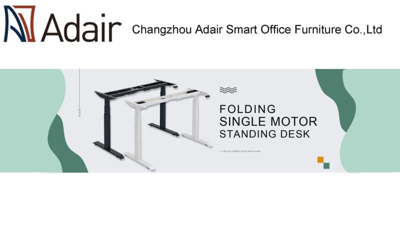 Face to Face Electric Height Adjustable Standing Desk