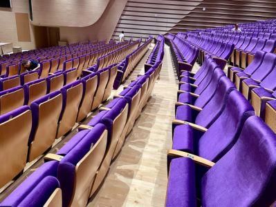 Lecture Hall Audience Media Room Stadium Public Church Theater Auditorium Seating