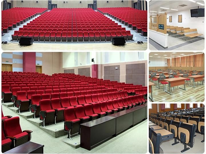 Public Conference Media Room Stadium Lecture Theater Theater Church Auditorium Seating